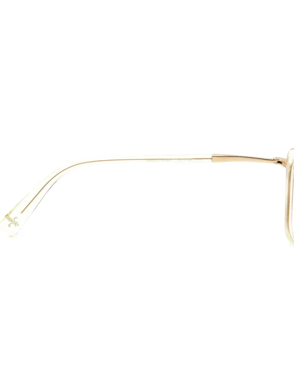 Seraphin Sibley/8028 Eyewear